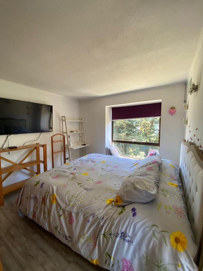 Hermoso Y Amplio Departamento Con Vista Al Rio Valdivia